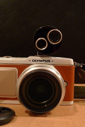 ÀµÌ̤¬¹õ¤¯¤Ê¤Ã¤¿