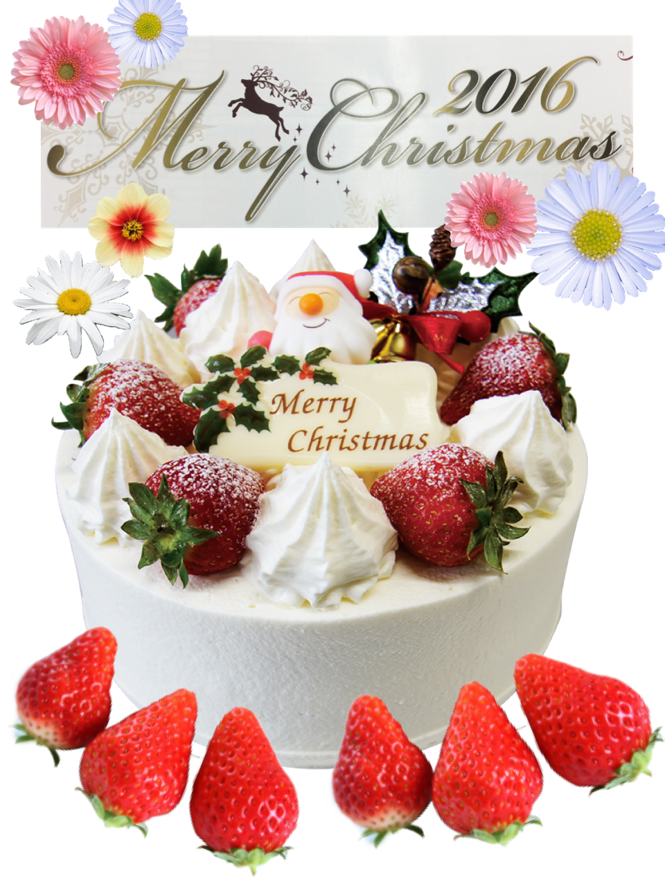パティスリー フィオレット クリスマスケーキ16 ヨミポスト香川 パティスリー フィオレット クリスマスケーキ16 ヨミポスト香川