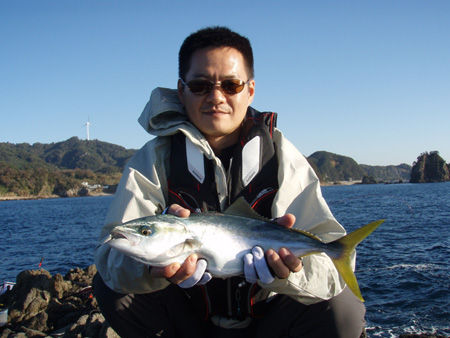 ¥É¡¼¥à¥º£Ô¤Î¥¤¥Ê¥À