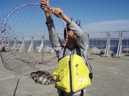 £±£°¡¥Ç´¤ê¤ËÇ´¤Ã¤¿À®²Ì¡ª¥¢¥¤¥´¤À¤±¤É²ÁÃͤ¢¤ë£±Èø¤Ç¤¹