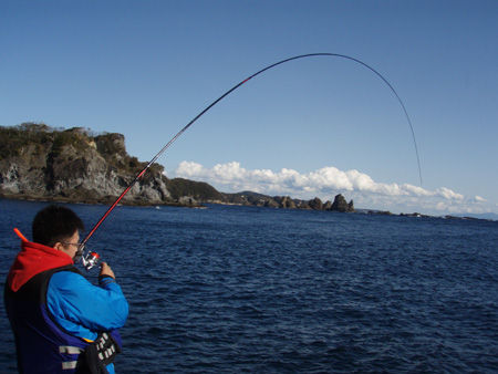 ¶¯Îõ¤Ê°ú¤¤ËÂѤ¨¤ë¥¤¥ï¥µ¥¤µ¤ó