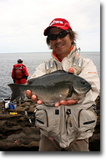���ݣ�