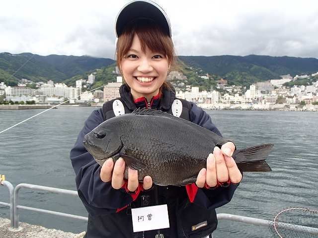 P60816441[1]