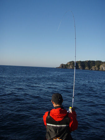 ¥É¡¼¥à¥º£Ë¤Î¥µ¥ª¶Ê¤¬¤ê