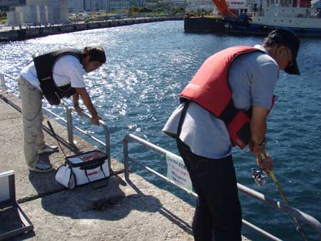 £³¡¥¼ÂÄ೫»Ï¡ª±þ±ç¤Ë¤âÎϤ¬Æþ¤ê¤Þ¤¹