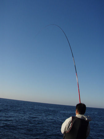 ¥É¡¼¥à¥º£Ô¤Î¥µ¥ª¶Ê¤¬¤ê