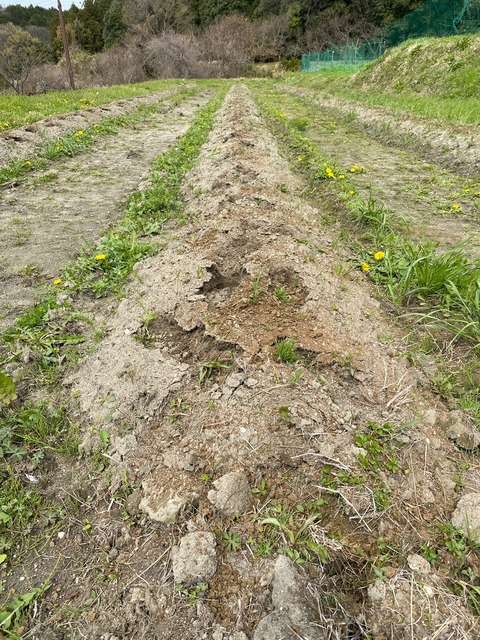 image20