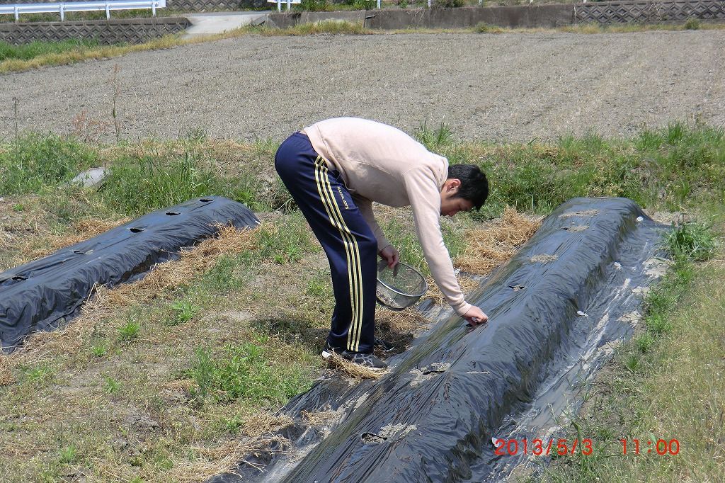 イメージ 1