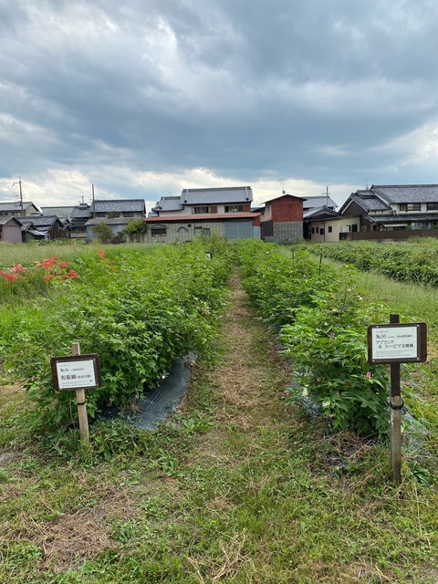 image0 - 2023-10-01T134904.020