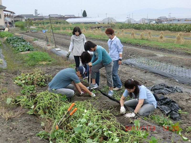 イメージ 3
