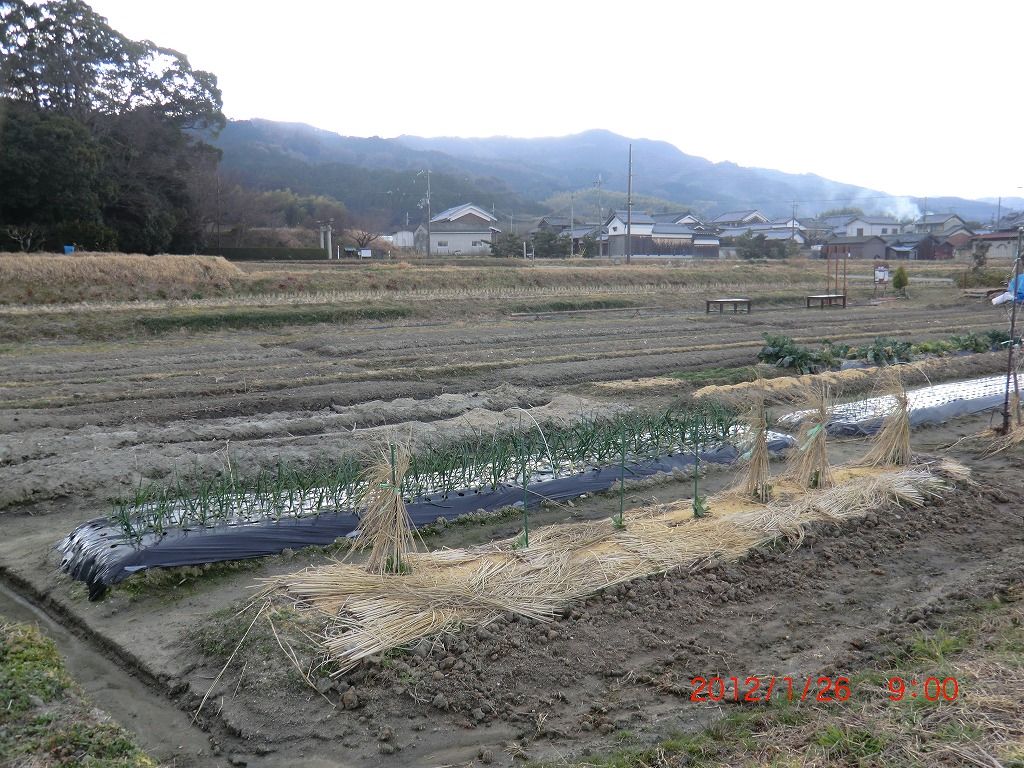 イメージ 1