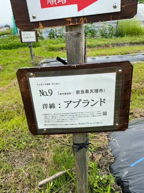 image1 (24)
