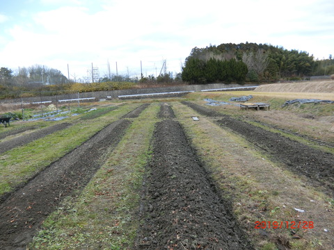 CIMG2455