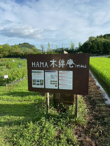 image12
