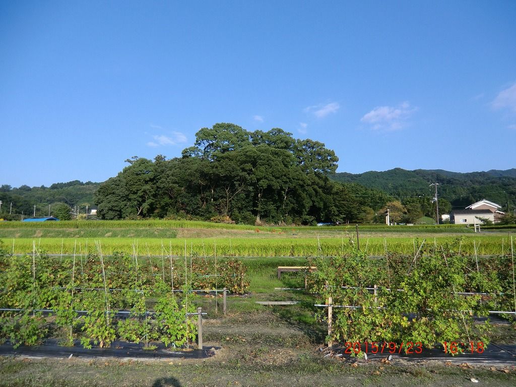 イメージ 8