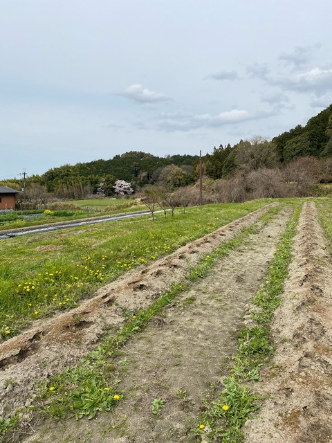 image21