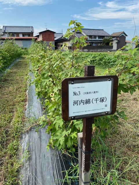 image121