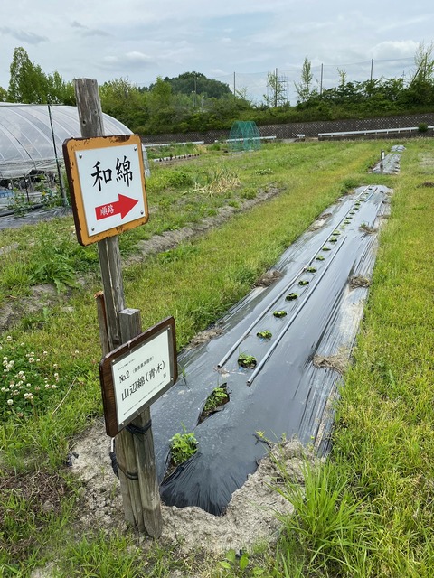 4image0 - 2023-05-27T164118.853