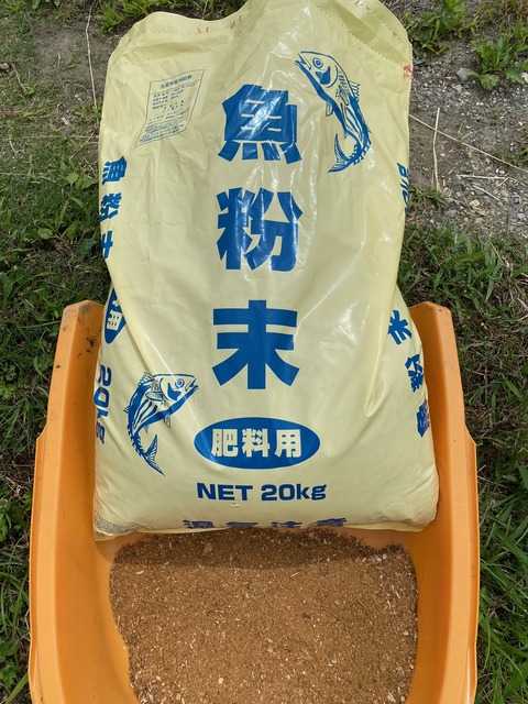 魚粉末image0 - 2023-06-26T055221.825