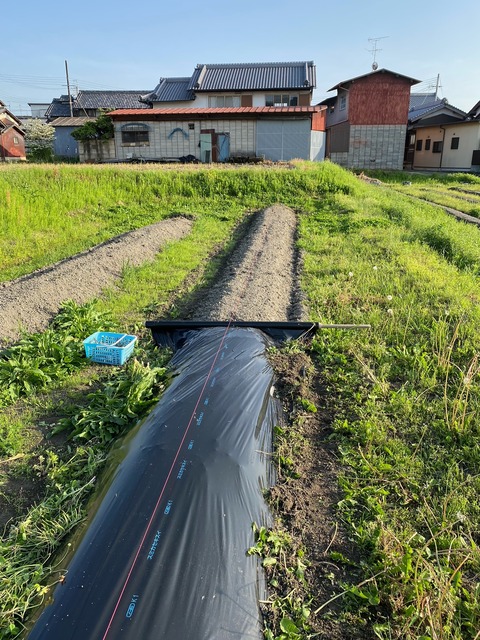 image12