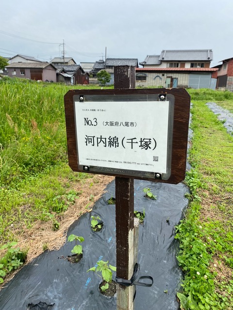 image0 - 2023-06-11T063158.837