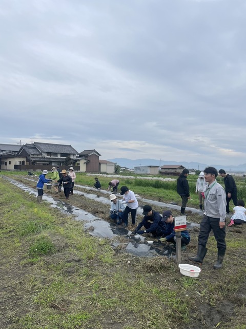S__155918345