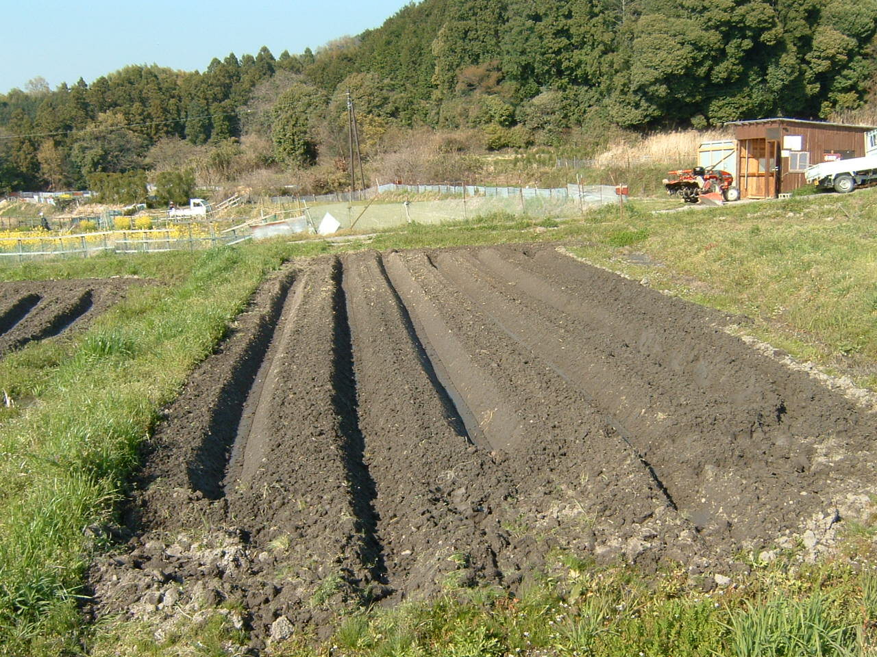 イメージ 3
