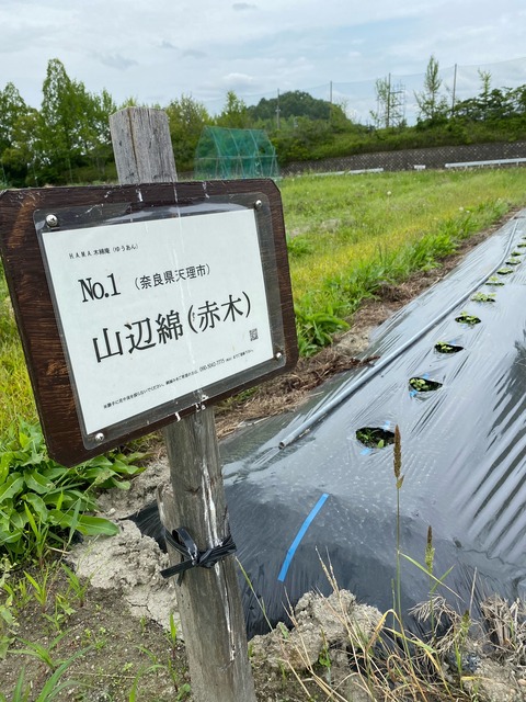 7image0 - 2023-05-27T164139.267
