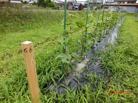 CIMG3469
