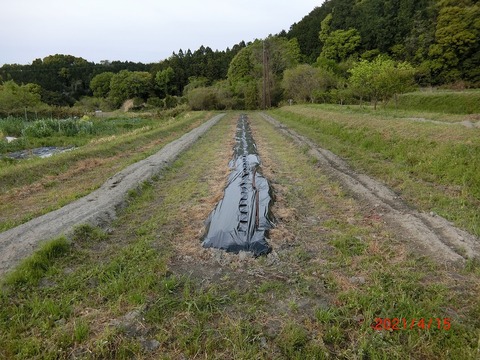 CIMG4882