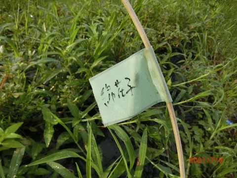 CIMG5135
