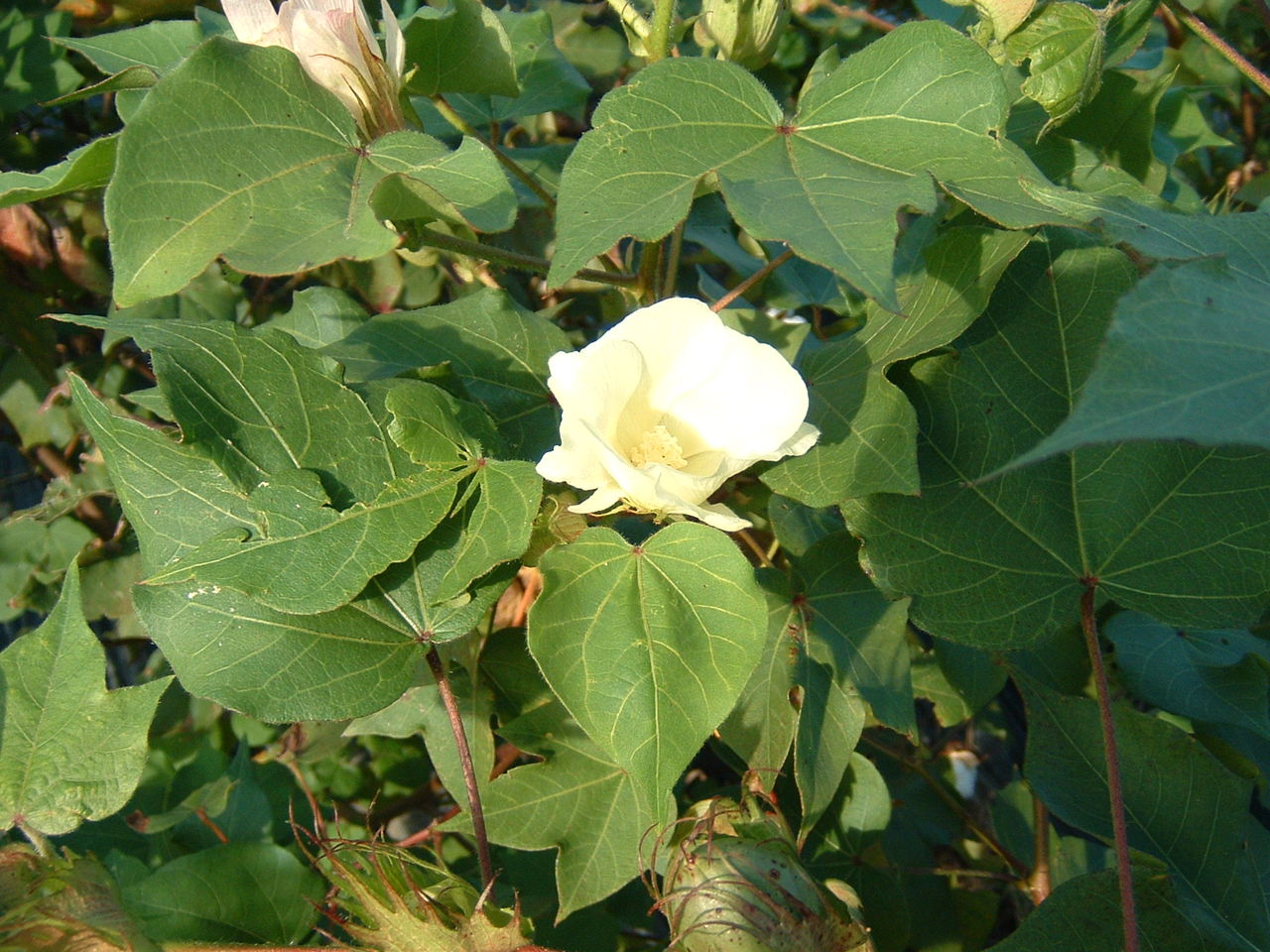 イメージ 3