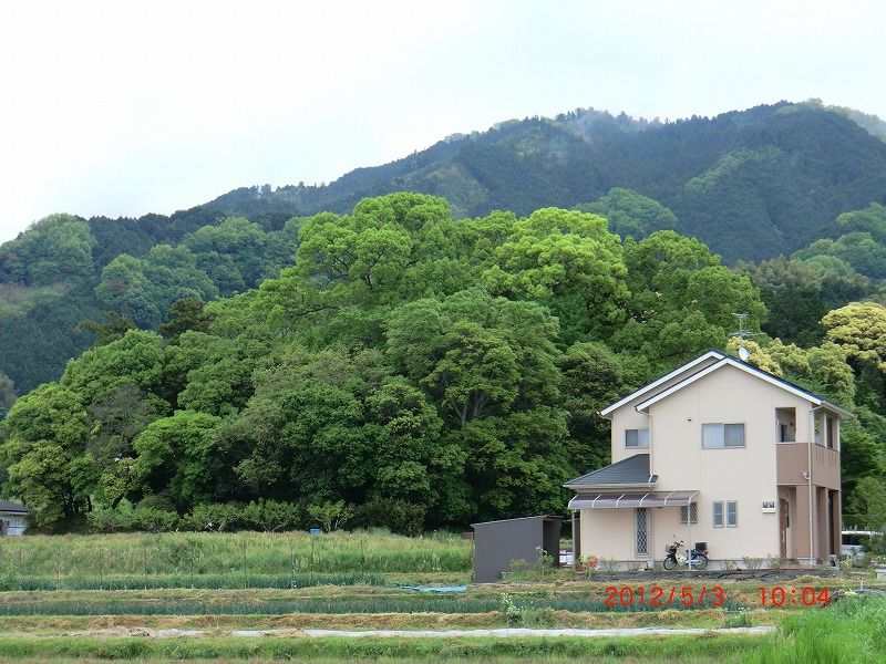イメージ 3