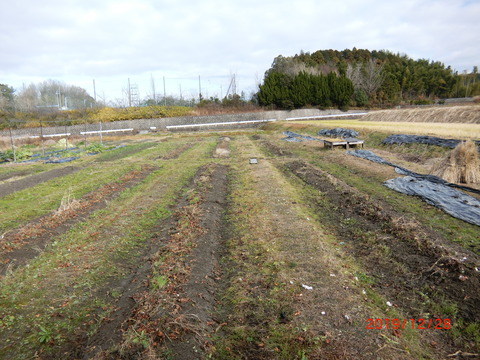 CIMG2454