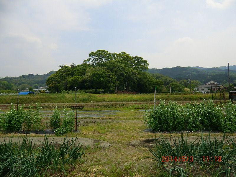 イメージ 6