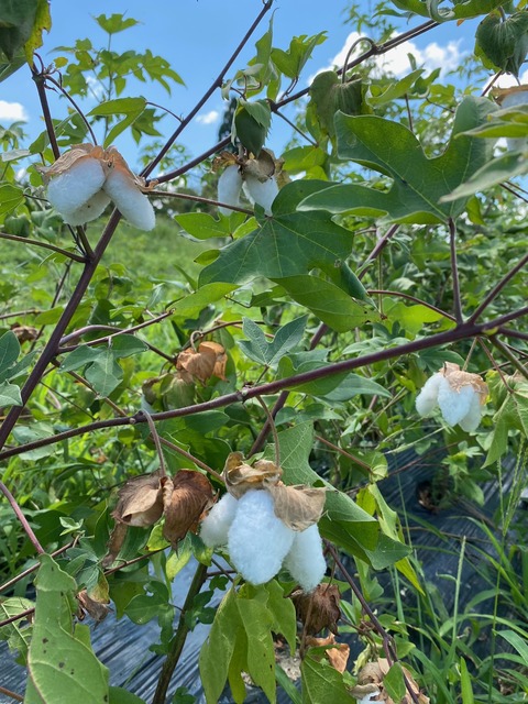 image0 - 2023-09-10T201907.025