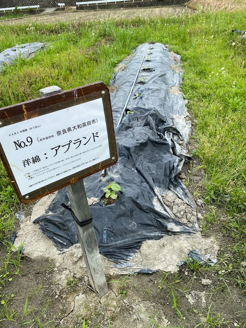 8image0 - 2023-05-27T164148.296