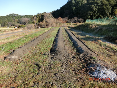 CIMG2461