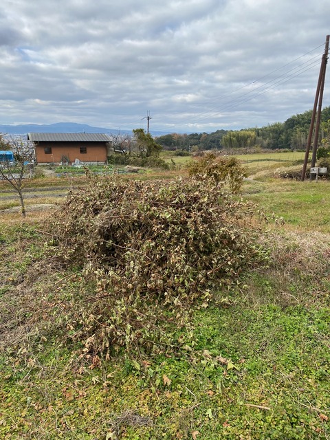 image4