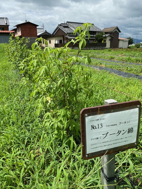 image110