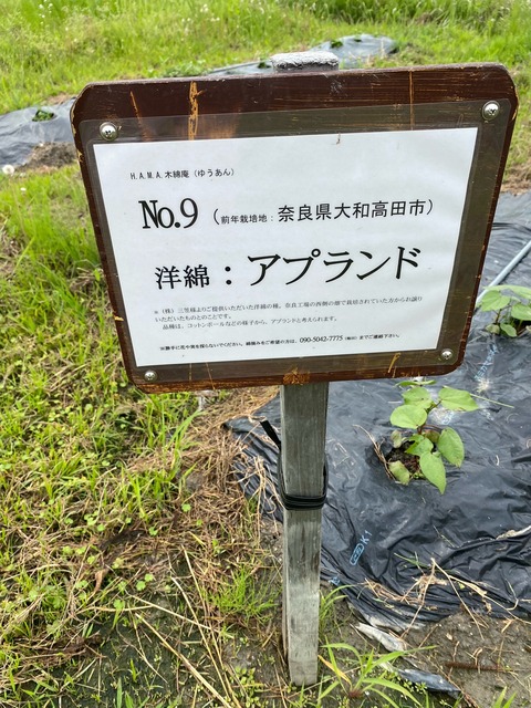 image0 - 2023-06-11T063331.299