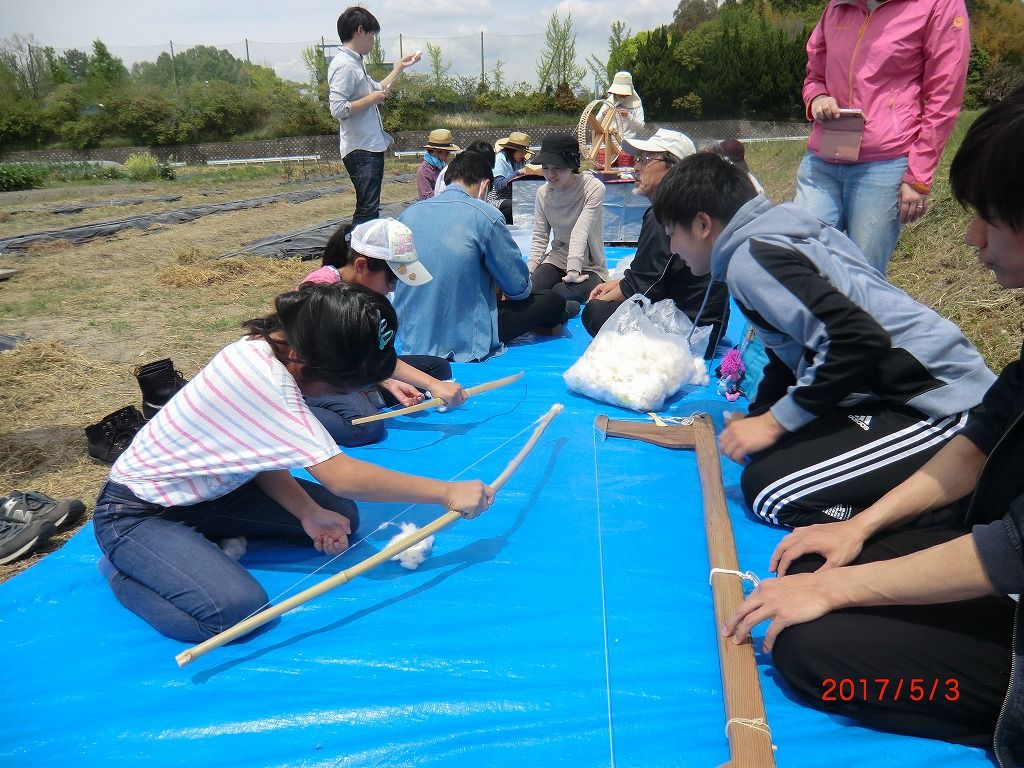 イメージ 18
