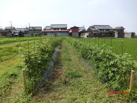 CIMG3760