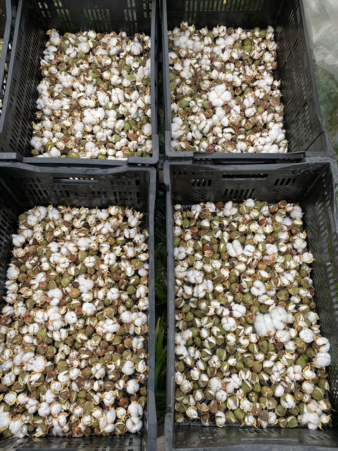 image11