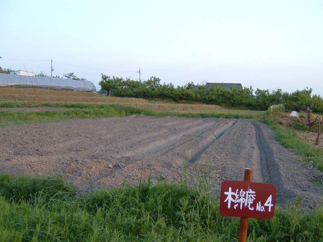 イメージ 1