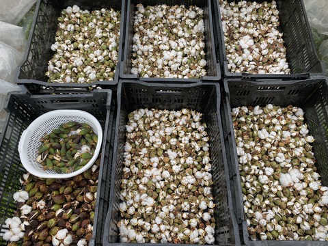 image12