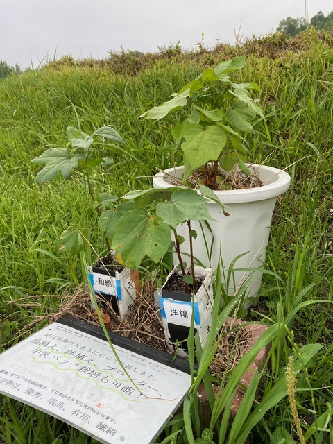 image2 (5)
