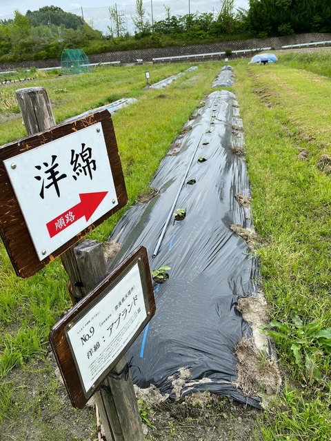2image0 - 2023-05-27T164052.971