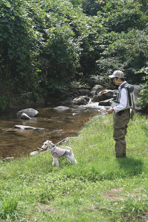 鳥取 日野川 源流の旅 ハミルトン Fun