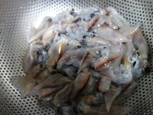 ホタルイカ 角上魚類 はみ男の日記 仮